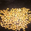 Yellow Corn Animal Feed