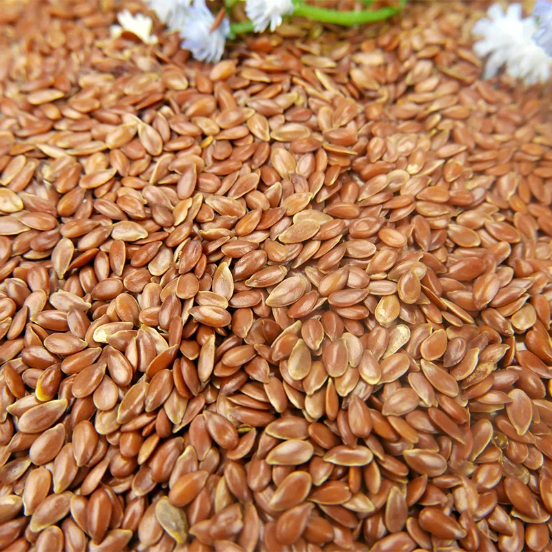 Best Quality Flax Seeds Brown/Gold (linseed)