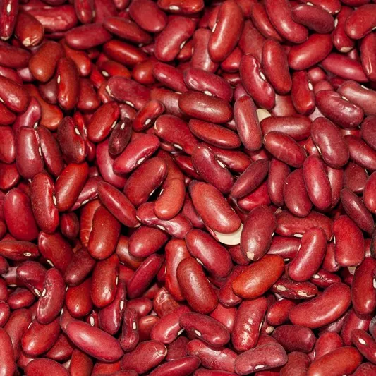 Pinto bean Light Speckled kidney Beans Agromic Trading Limited