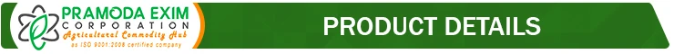 Product title.jpg