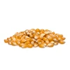 Yellow Corn & White Corn/Maize for Human & Animal Feed For Export<<