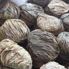 100% Pure Wet and Dry Salted Beef Omasum, Frozen Salted Beef Omasum