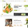 eCommerce development using magento platform
