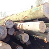 Poland Beech Round
