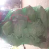 Sell new crop fresh Chinese Cabbage from Good Farmer top grade