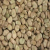 /product-detail/dried-broad-beans--62006264751.html