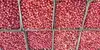 BEST Fresh Fruits,fresh and dried Nuts, Food Products