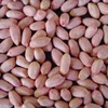 GROUNDNUTS