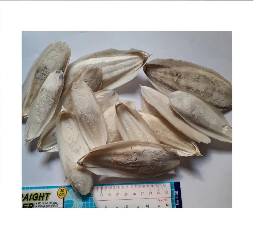 
Vietnamese Cuttlefish bone/ cuttlefish and squid/ cuttlefish 2020   Whatsapp  84 845 639 639  (62000247888)
