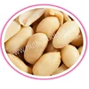 Peanut in Java Shell
