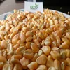 High Quality Animal Feed Yellow maize