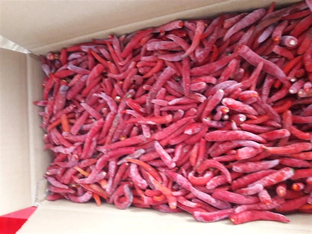 Frozen Red Chili High quality from NAM VAN LONG Co., Ltd