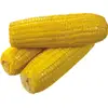 Yellow Corn/Maize For Animal Feed