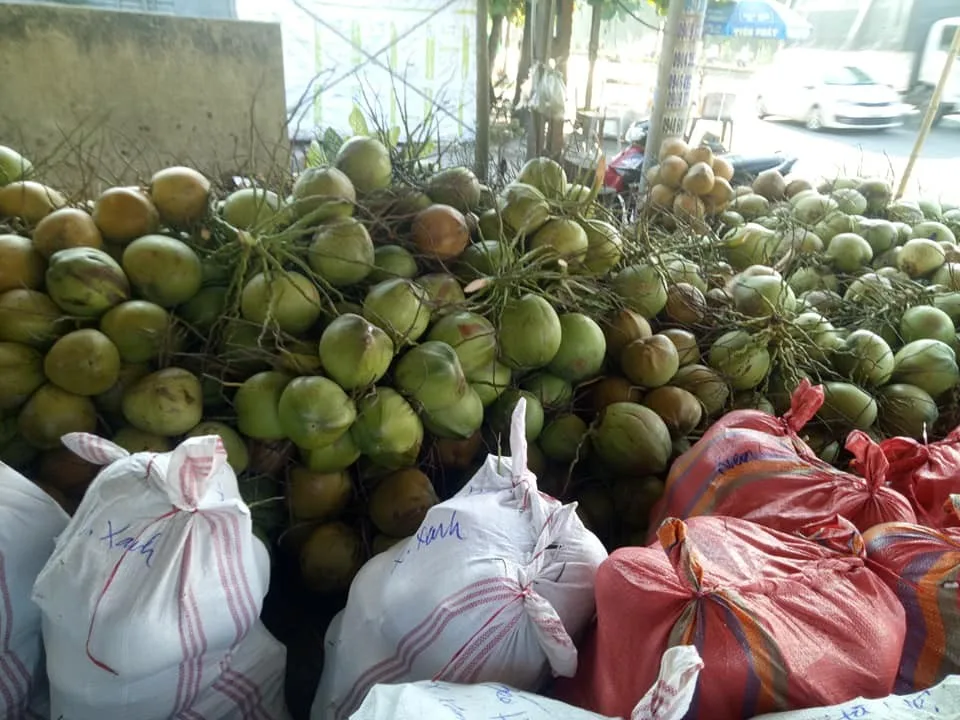 Whole Fresh Young Coconut Supplier / Diamond Cut Coconut Buy Whole
