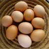 /product-detail/farm-fresh-chicken-table-eggs-brown-and-white-shell-chicken-eggs-50031556761.html