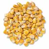 Yellow Corn