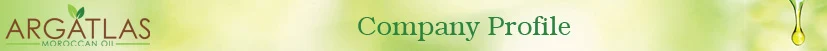 Company-Profile.jpg