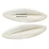 Cuttlefish bones for making chitosan/ Dried cuttlefish bone big size/ Dry cuttlebones
