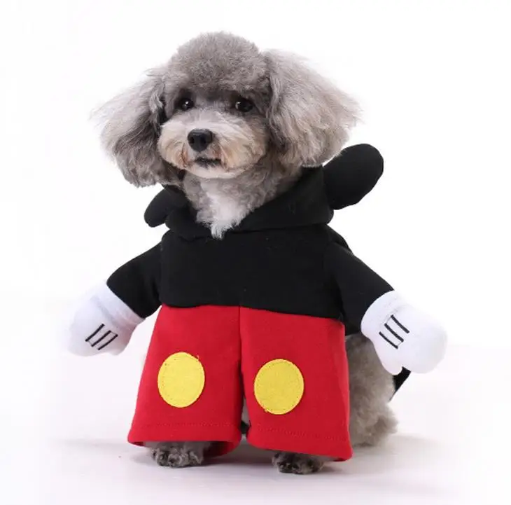 节日不同风格的宠物狗服装服装针织