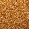 Live/Dry Mealworm bird Food Chicken fish