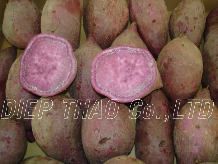 murasaki sweet potato benefits