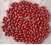 Low Price Refined Peanuts and Groundnuts Available for Sale