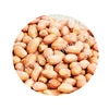 Leading Exporter of Fresh Raw Peanuts Bold 38/42 Count