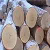 Need White Ash Logs 40+ cm from Ukraine