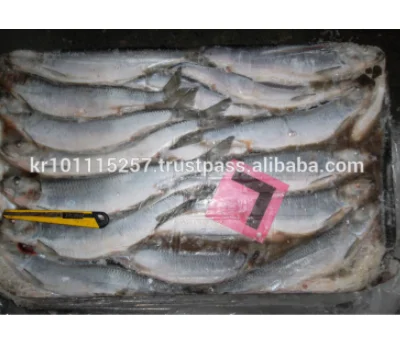 
FROZEN HERRING W/R FISH 