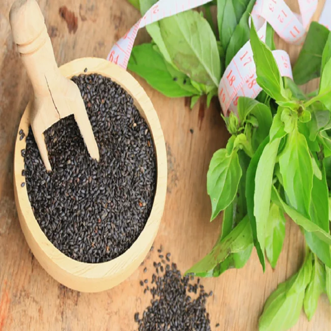 basil-seeds-2.png