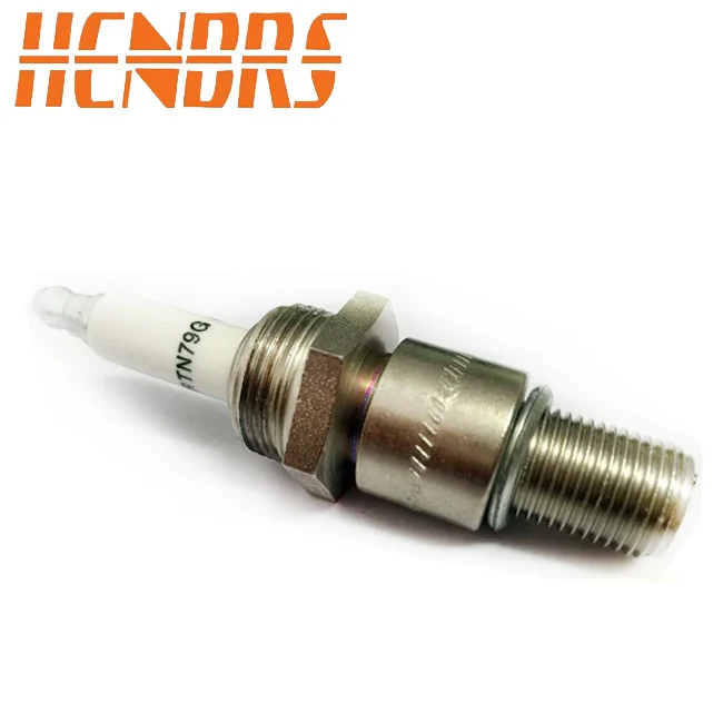 For Cng/lng/png Power Generation Diesel Spark Plugs Rn79g,2n2839