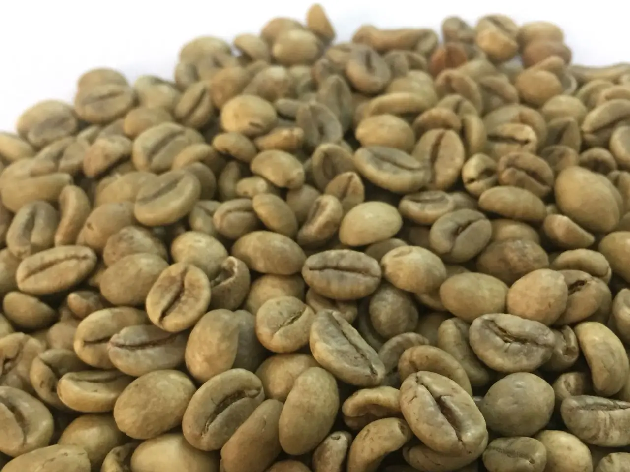 Robusta Coffee Beans,High Quality Good Prices - Buy Robusta Coffee ...