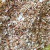 Crab shell and shrimp shell / Shrimp meal for feed