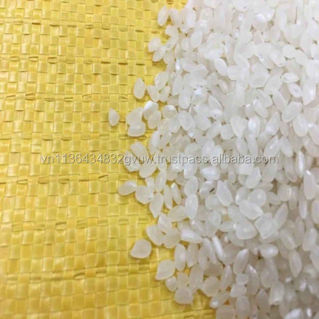 JAPONICA 2% BROKEN 43.jpg