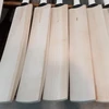 Custom Design English Willow Cricket Bat