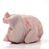 Grade A Halal Frozen Chicken Feet, Paws, Breast, Whole Chicken, Legs and Wings Brazil