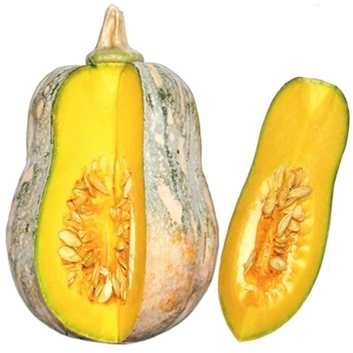 
Yellow Pumpkin - Frozen Pumpkin/ WHATSAPP +0084 845639639 