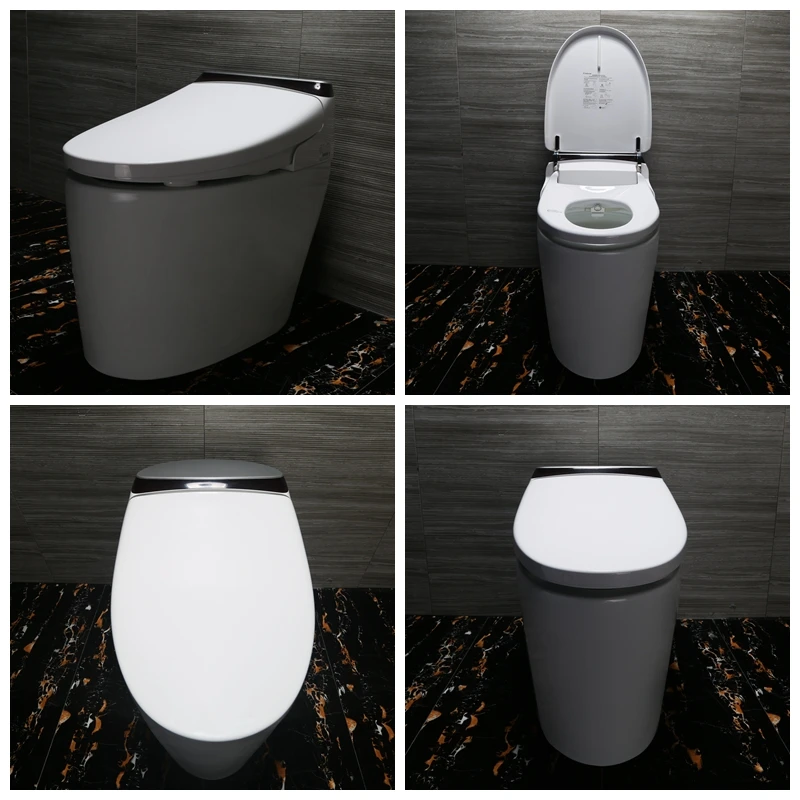 China home shower toilet with bidet function and warm seat in winter and enema function
