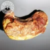 Cashewnut roasted and salted now in skin. Husk cashews from vietnam available now by Ivar Agro