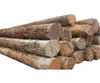 Teak wood logs/ sawn timber & Timber LOGs
