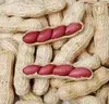 peanuts prices 1kg raw blanched price roasted peanut blanched peanuts price