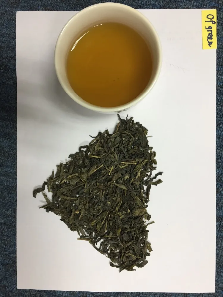 越南綠茶最優惠的價格為綠茶 op