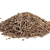 Fresh cumin seeds all export quality