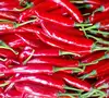 100% Natural First Quality Red Hot Chilli for Wholesale 2019