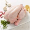 Halal Frozen Whole Chicken / Feet / Paws / Leg / Breasts for sale from Turkey