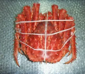 
frozen cooked king crab chile 