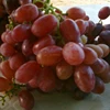 For Fruit Lovers , Egyptian crimson grapes Season is begin