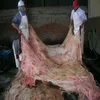 /product-detail/high-quality-dry-and-wet-salted-donkey-cow-goat-skin-cow-hides-50046200711.html