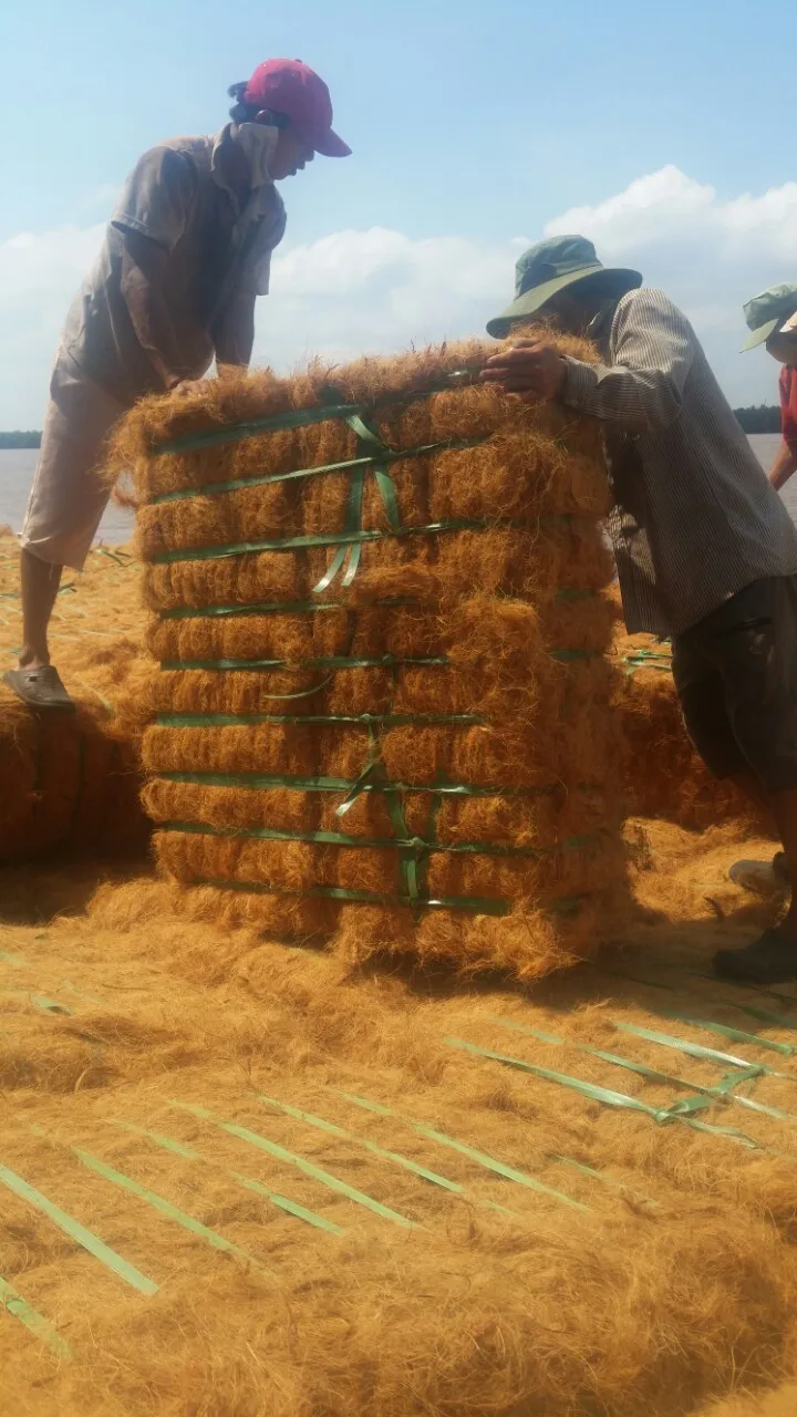 100 Natural Coconut Fiber For Sale With Best Price And Quality Buy