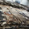 High Quality Dry & Wet Salted Cattle / Cow Hides and Skins
